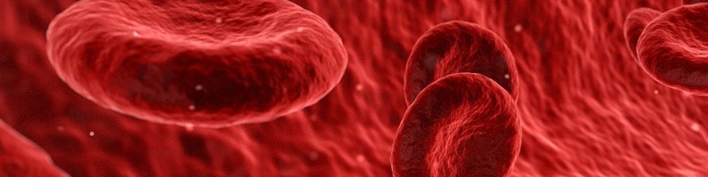 How to Remove Blood Stains from Carpet
