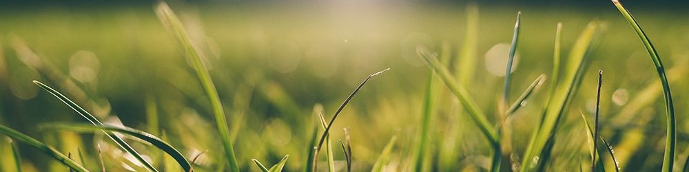 How to Remove Grass Stains